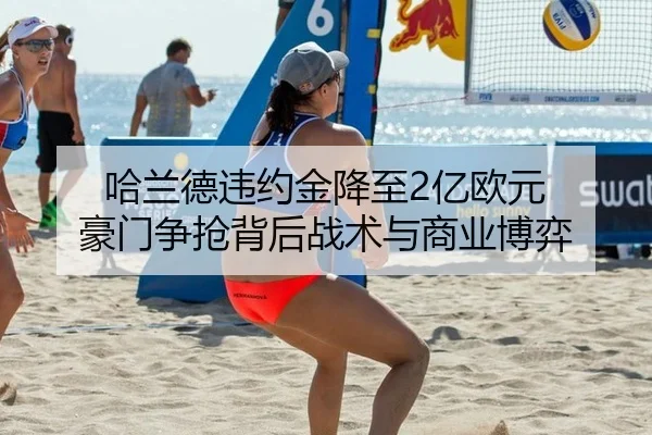 ha-lan-de-wei-yue-jin-jiang-zhi-yi-ou-yuan-hao-men-zheng-qiang-bei-hou-zhan-shu-yu-shang-ye-bo-yi-2-236.jpg
