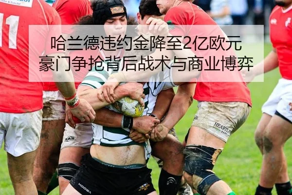 ha-lan-de-wei-yue-jin-jiang-zhi-yi-ou-yuan-hao-men-zheng-qiang-bei-hou-zhan-shu-yu-shang-ye-bo-yi-3-418.jpg