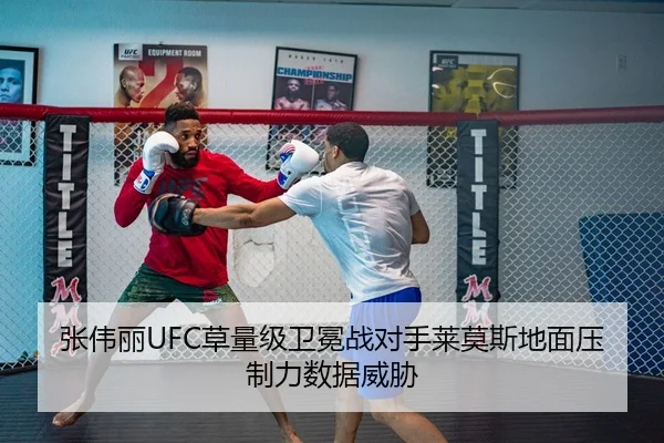 zhang-wei-li-cao-liang-ji-wei-mian-zhan-dui-shou-lai-mo-si-di-mian-ya-zhi-li-shu-ju-wei-xie-2-575.jpg